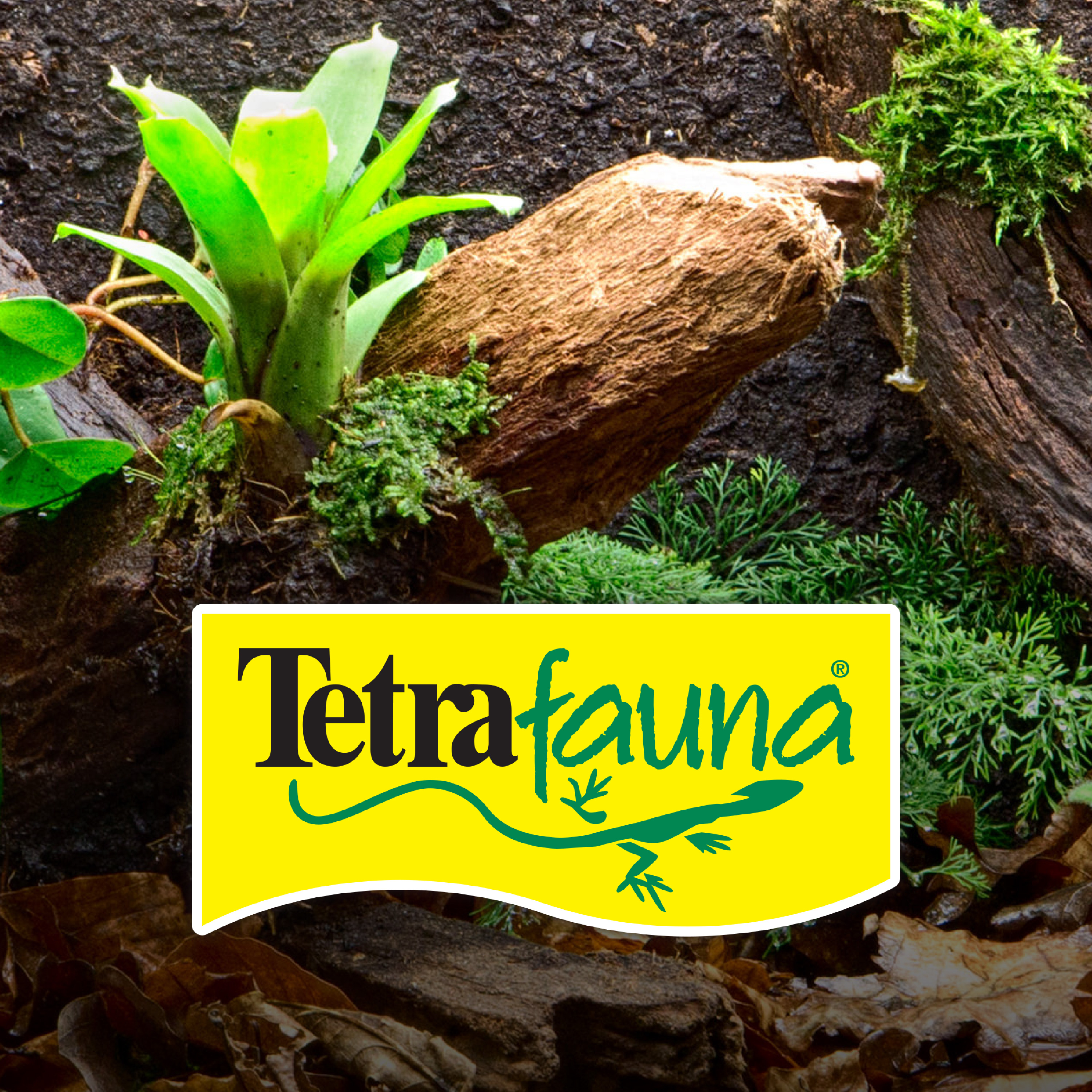 78461 Brand Statement 