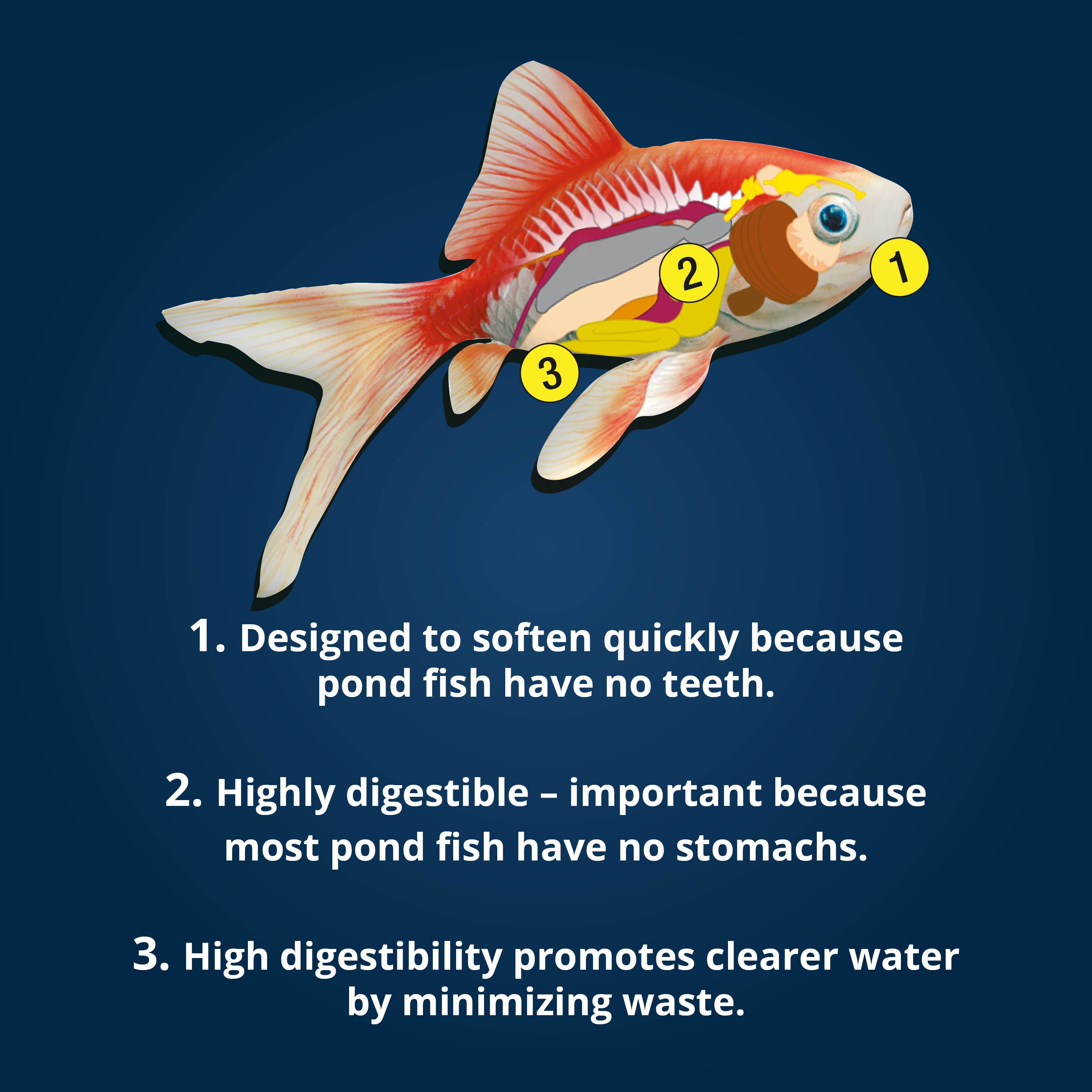 AQ-16482 AQ-16483 Pond Sticks Features