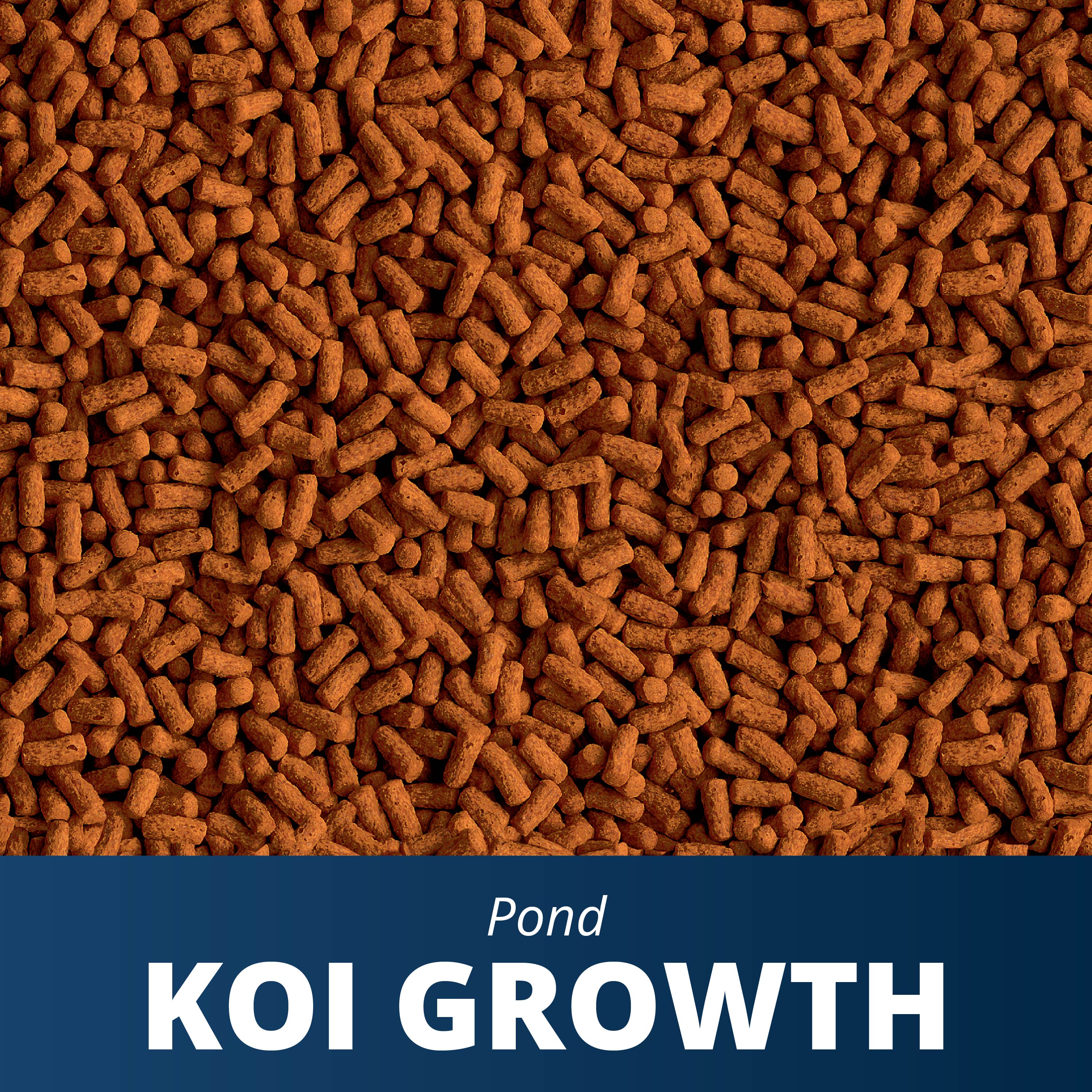 AQ-16489 Koi Growth Zipper Out of Pack