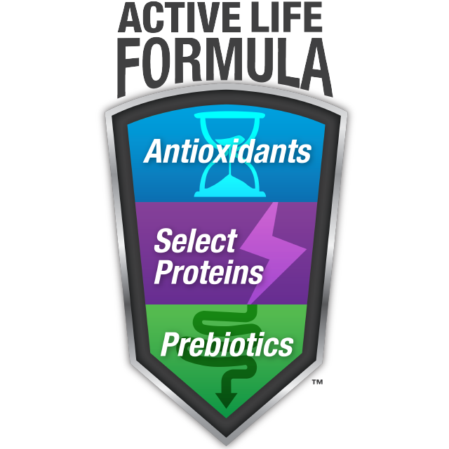 Active Life Formula Icon