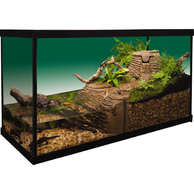 Viquarium Out of Pack