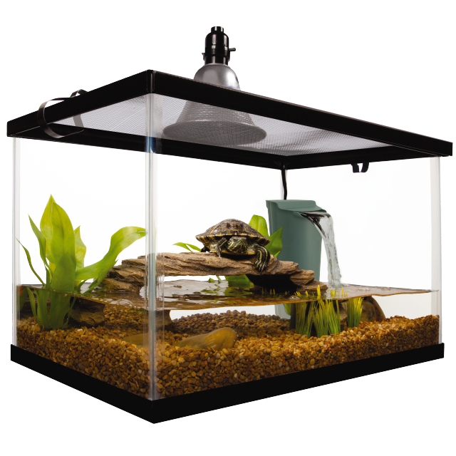 Aquatic Reptile Start Kit 10 gal Out of Pack Tank Set Up