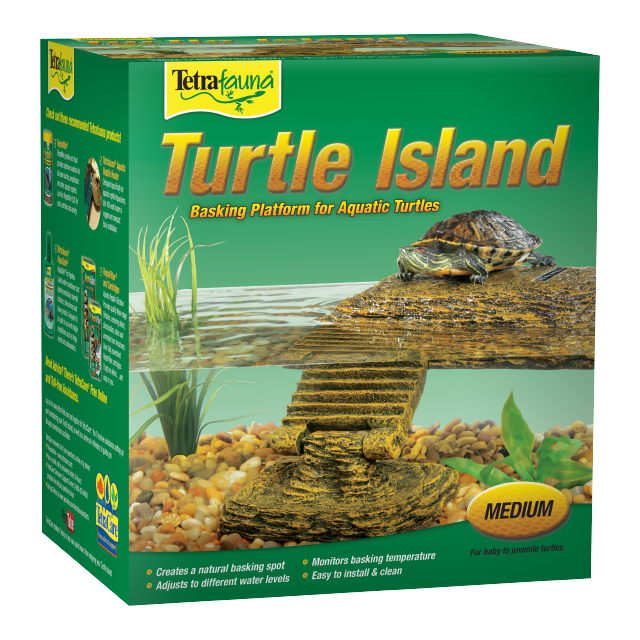 Turtle Island Front