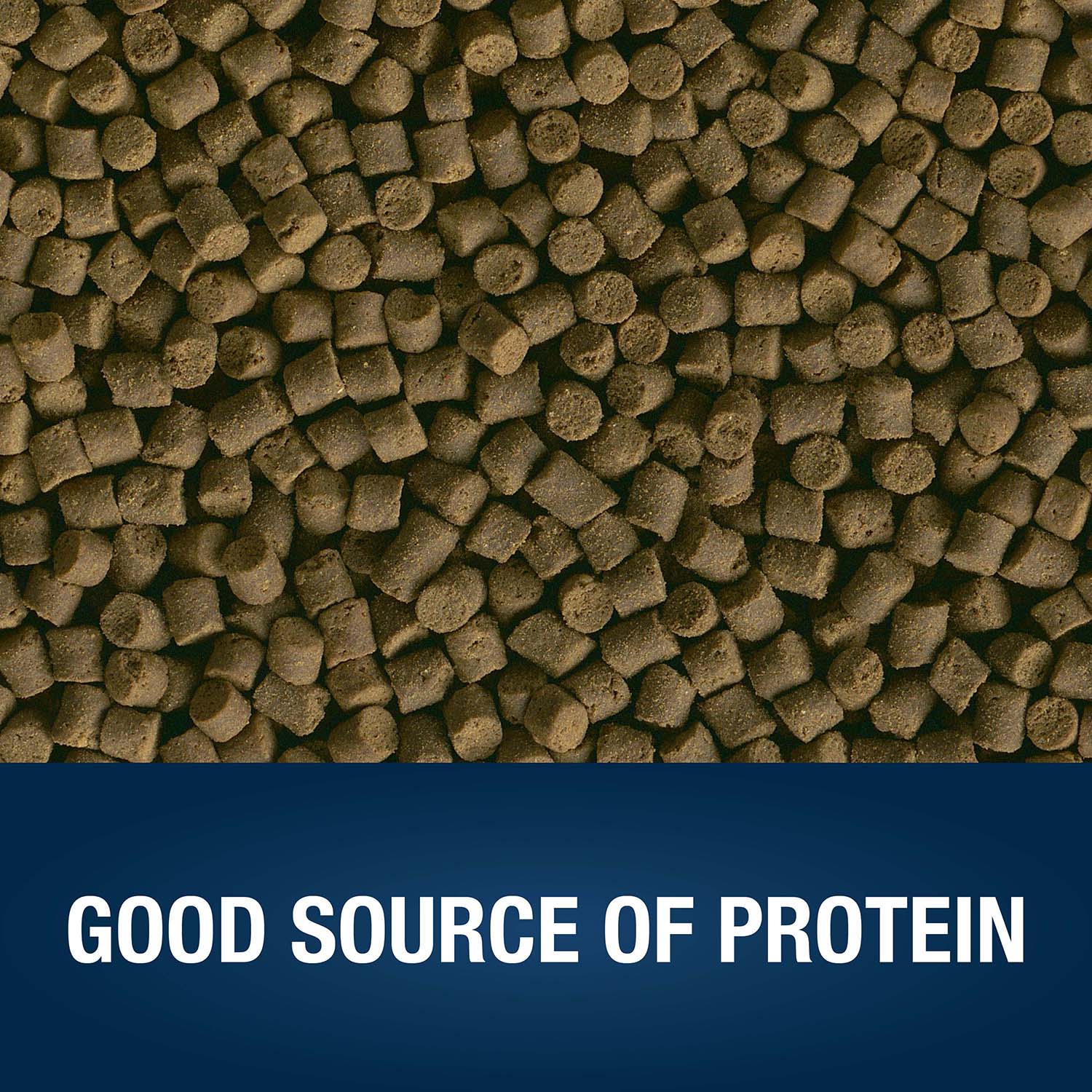 GOOD SOURCE OF PROTEIN