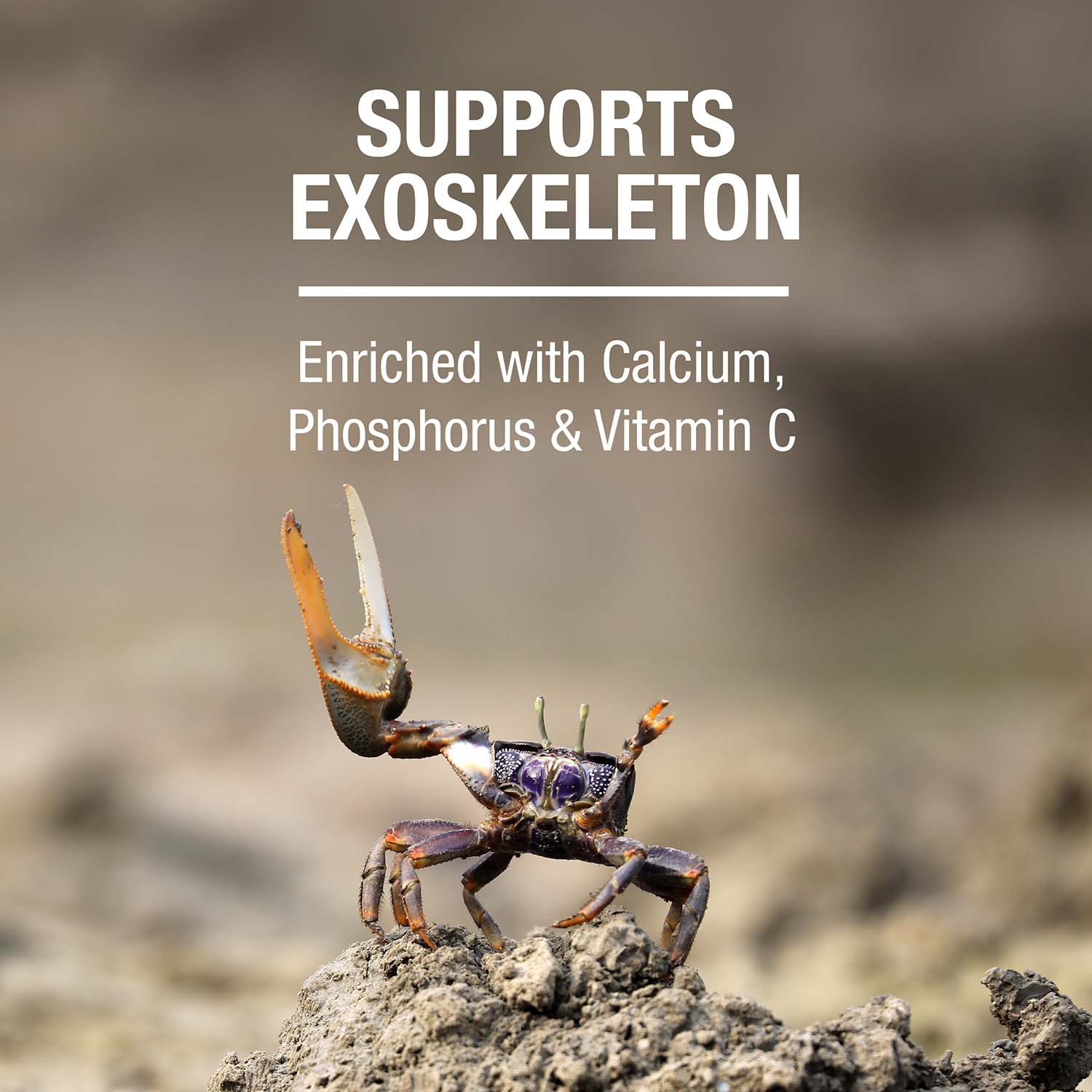 SUPPORTS EXOSKELETON Enriched with Calcium, Phosphorus & Vitamin C