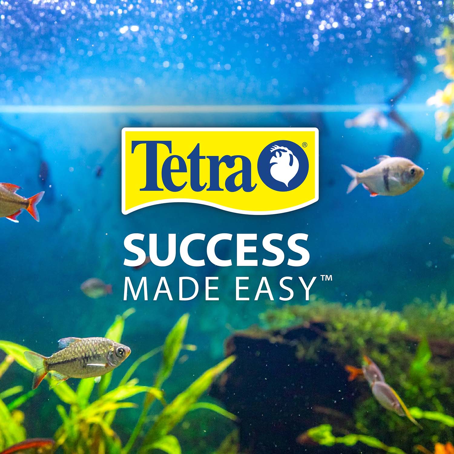 Success Made Easy™