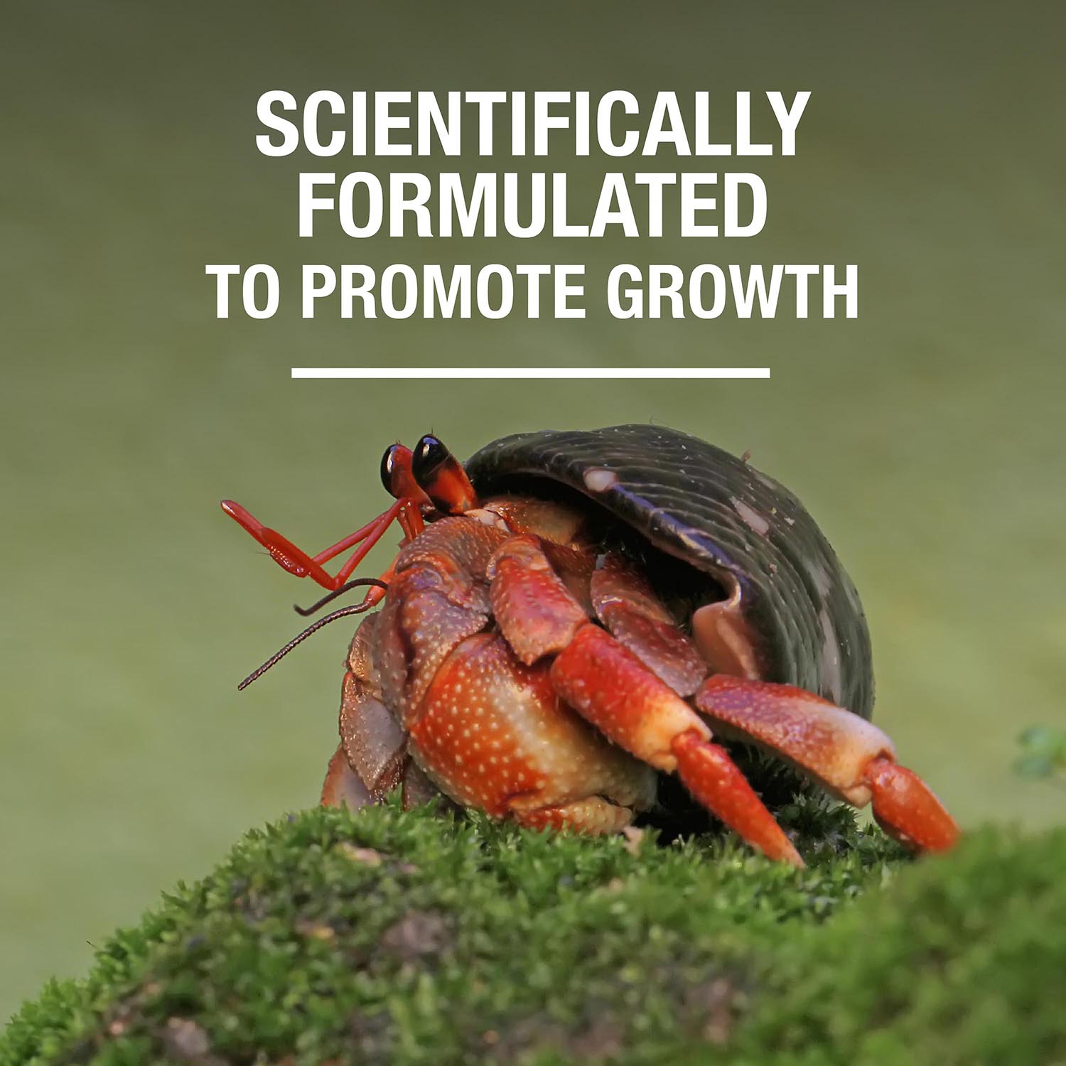 SCIENTIFICALLY FORMULATED TO PROMOTE GROWTH