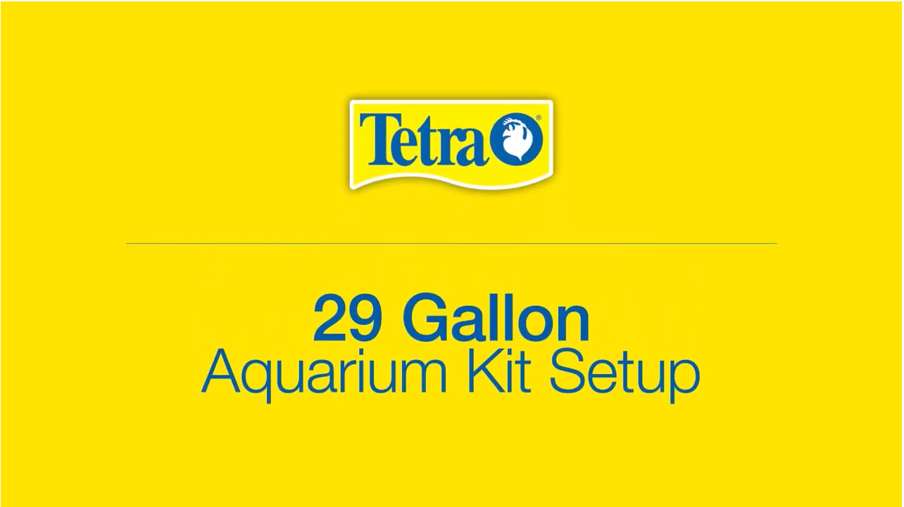 29 Gallon Aquarium Kit Setup