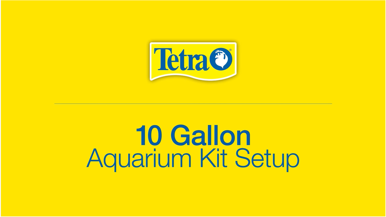 10 Gallon Aquarium Kit Setup