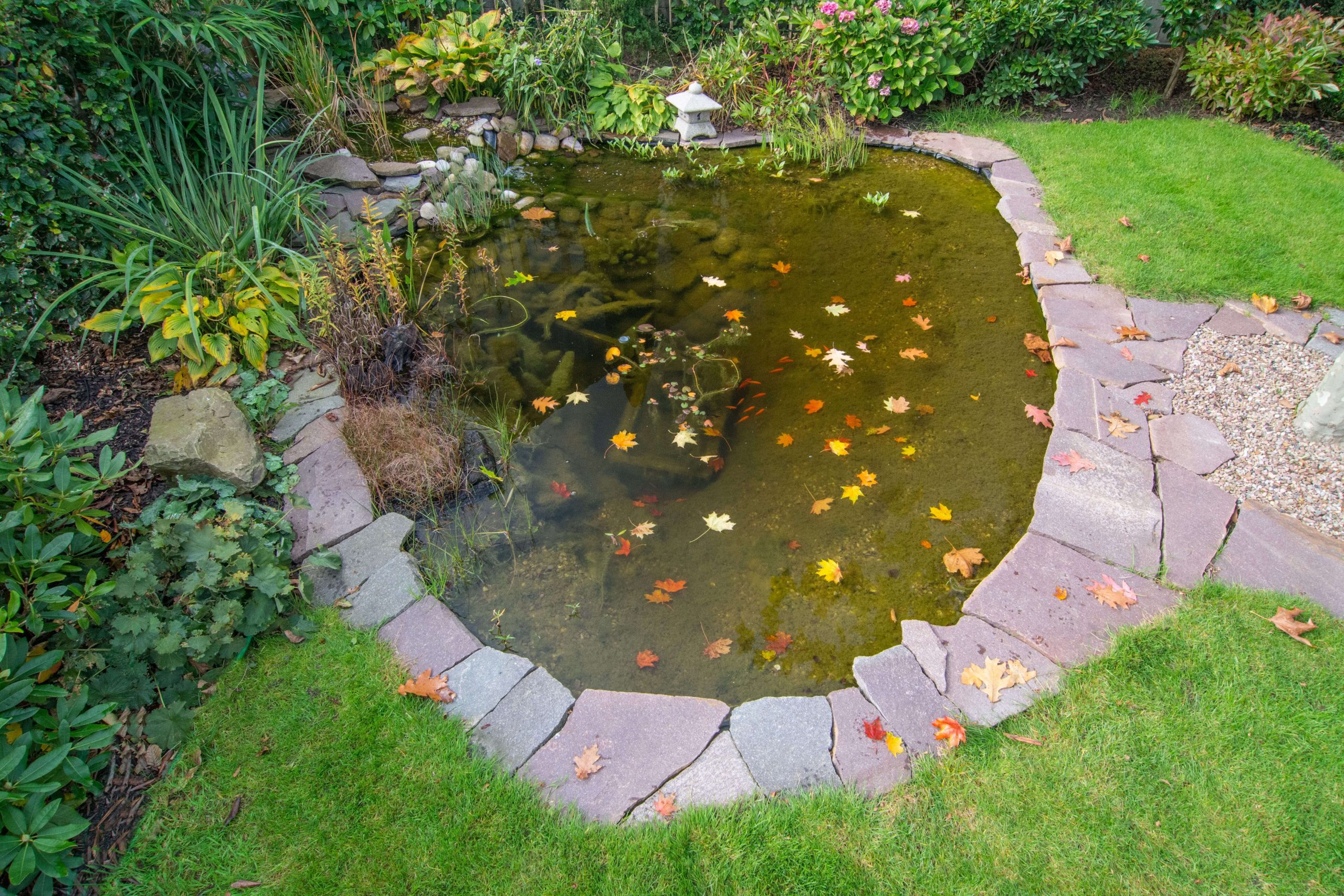 Aguas pluviales 101: Flujos hacia la bahía, image size:2560x1707