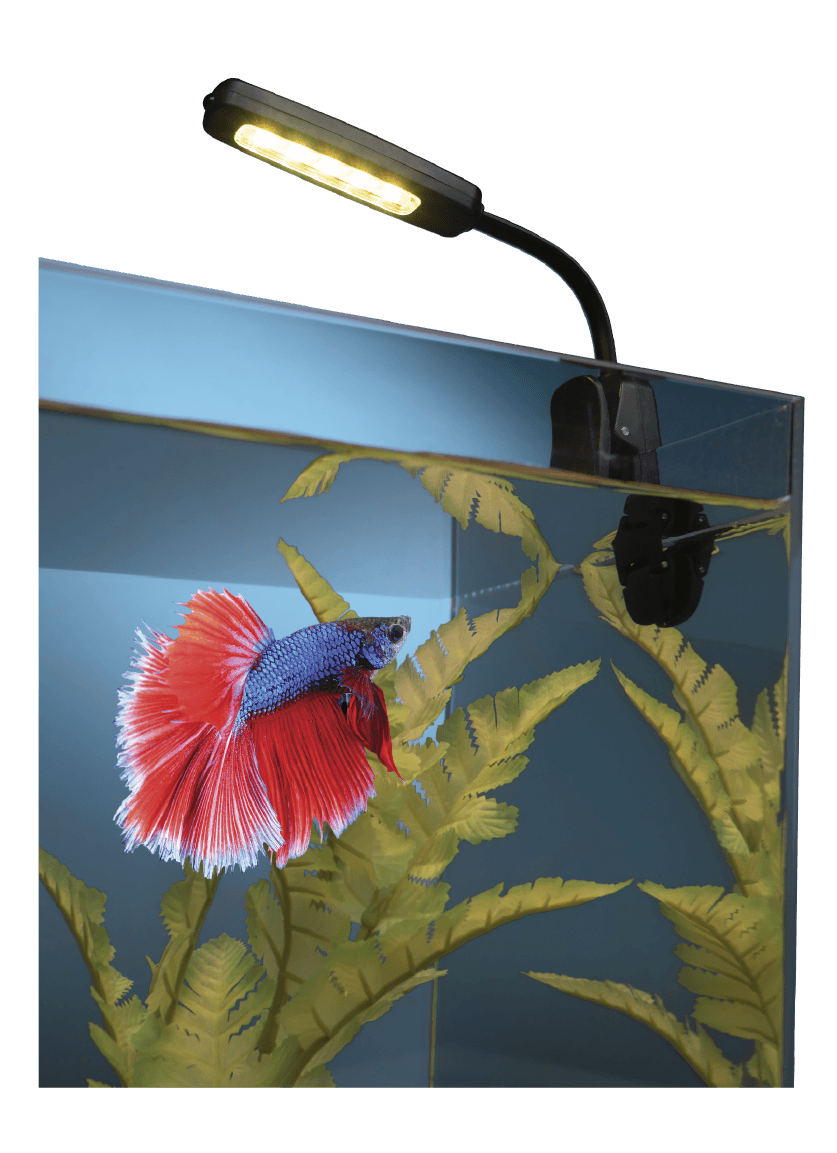 Luz de Escritorio ColorFusion In Use