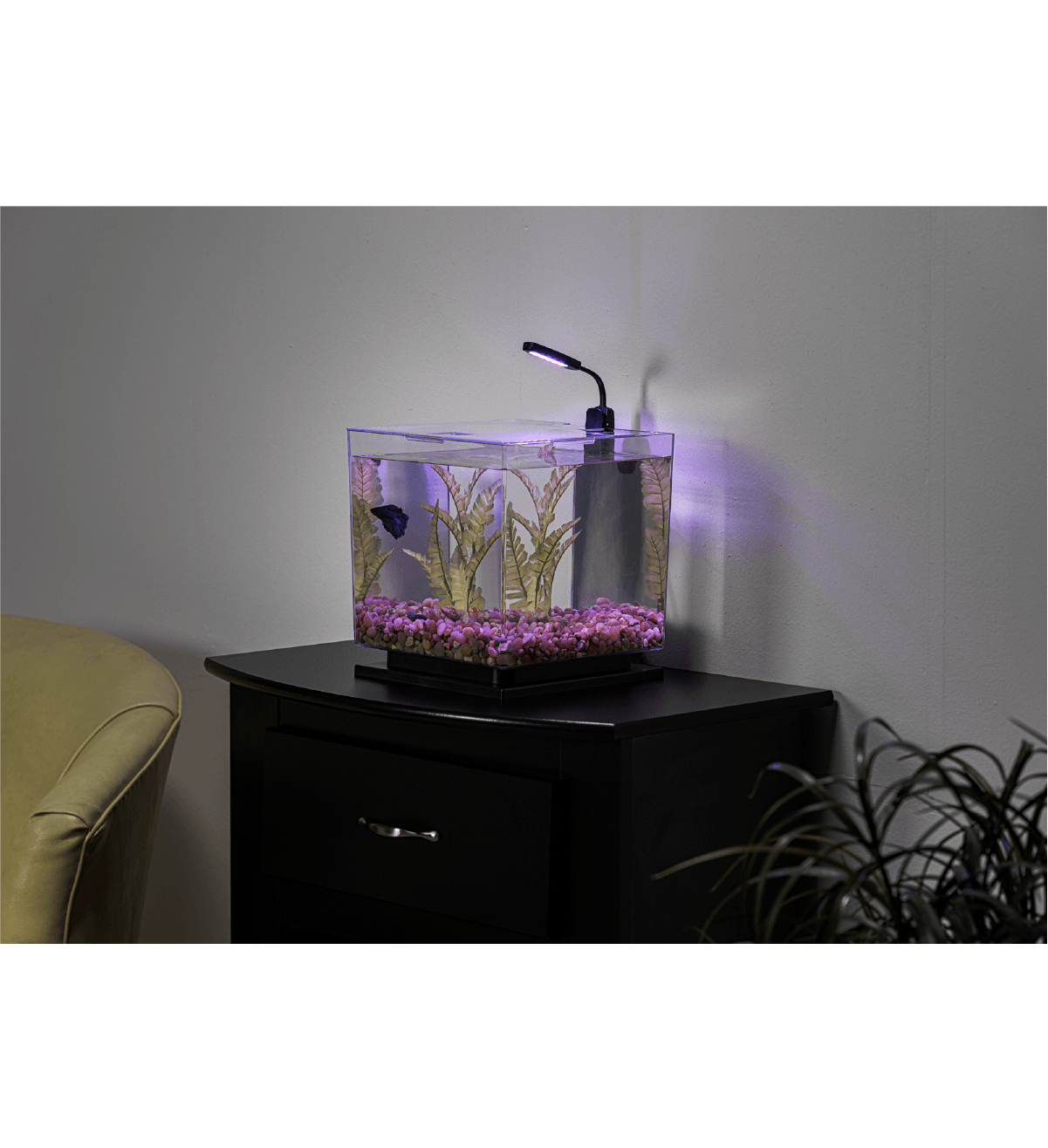 Luz de Escritorio ColorFusion In Use