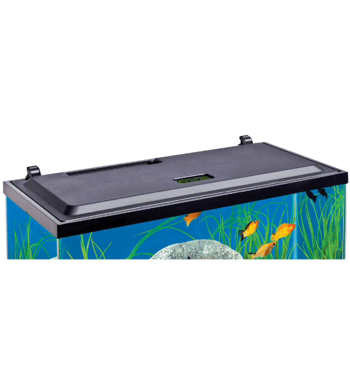 Tapa de Acuario LED 20 In Use