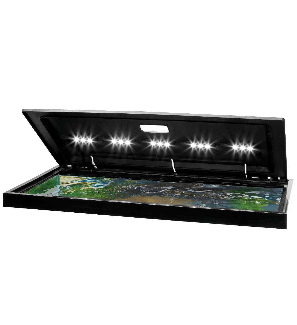 Tapa de Acuario LED In Use