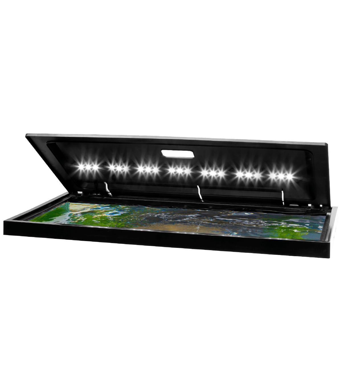 Tapa de Acuario LED In Use