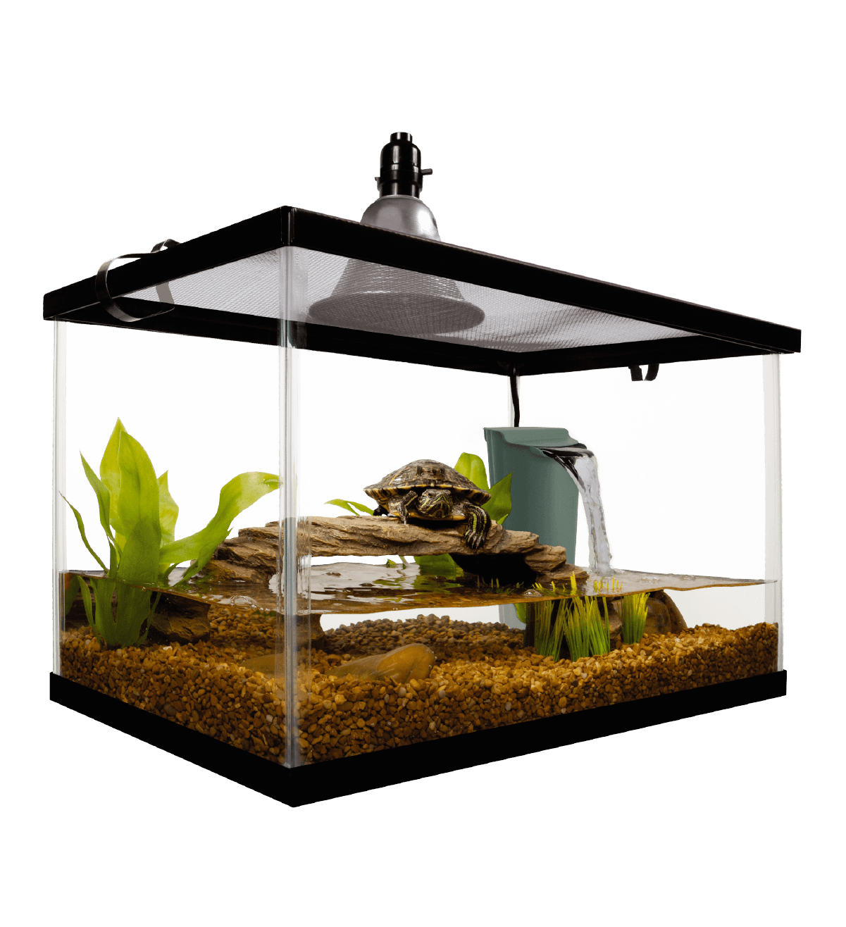 Kit Inicial para Reptiles 10 Out of Pack