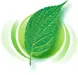 Sustainability image