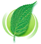 UI Sustain icon