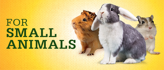 For Small Animals