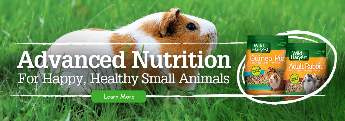 Advanced Nutrition for happy, healthy small animals