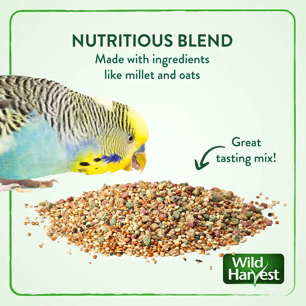 NUTRITIOUS BLEND Made with ingredients like millet and oats