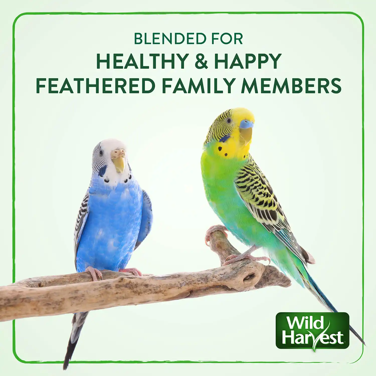 BLENDED FOR HEALTHY & HAPPY FEATHERED FAMILY MEMBERS