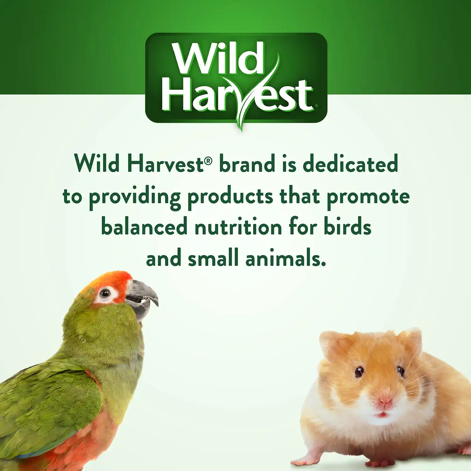 Wild Harvest® brand is dedicated to providing products that promote balanced nutrition for birds and small animals.