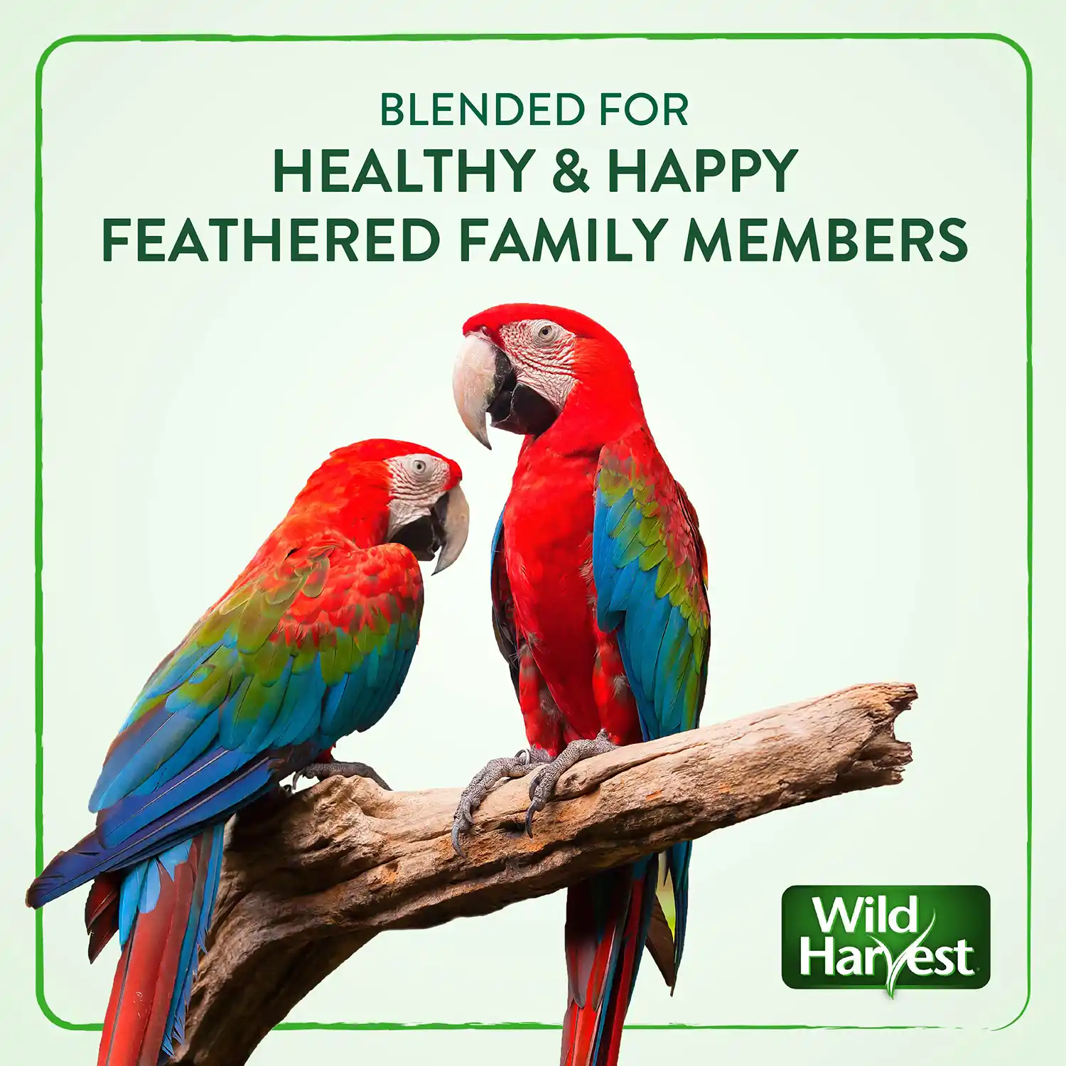 BLENDED FOR HEALTHY & HAPPY FEATHERED FAMILY MEMBERS