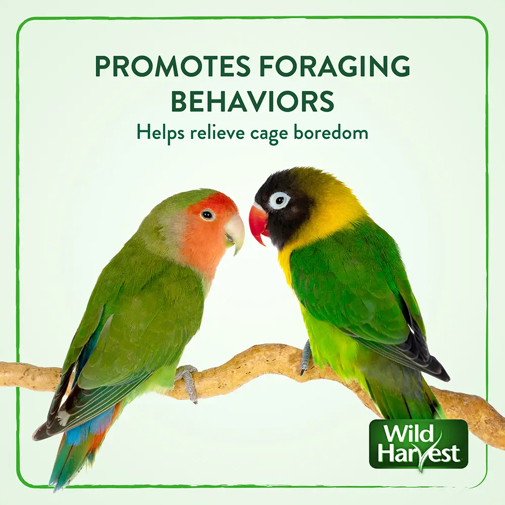 PROMOTES FORAGING BEHAVIORS Helps relieve cage boredom