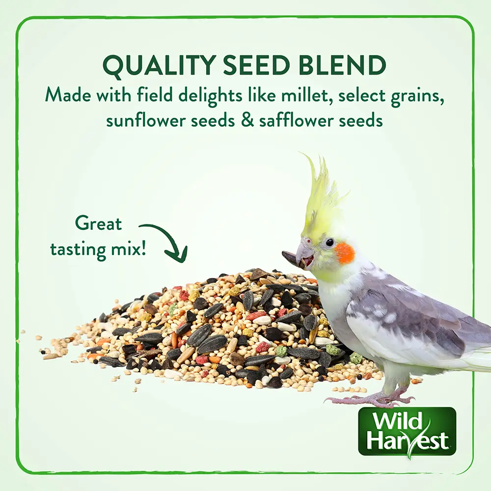 QUALITY SEED BLEND Made with field delights like millet, select grains, sunflower seeds and safflower seeds
