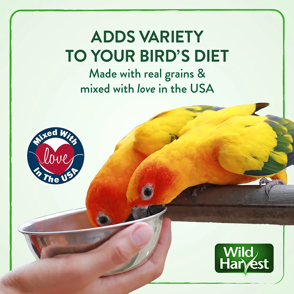 ADDS VARIETY TO YOUR BIRD'S DIET. Made with real grains and mixed with love in the USA.