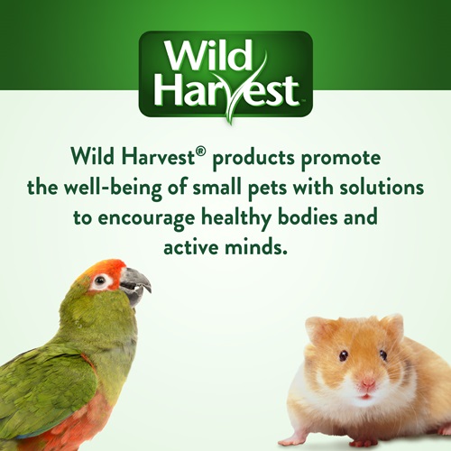 Wild Harvest Brand Statement Image