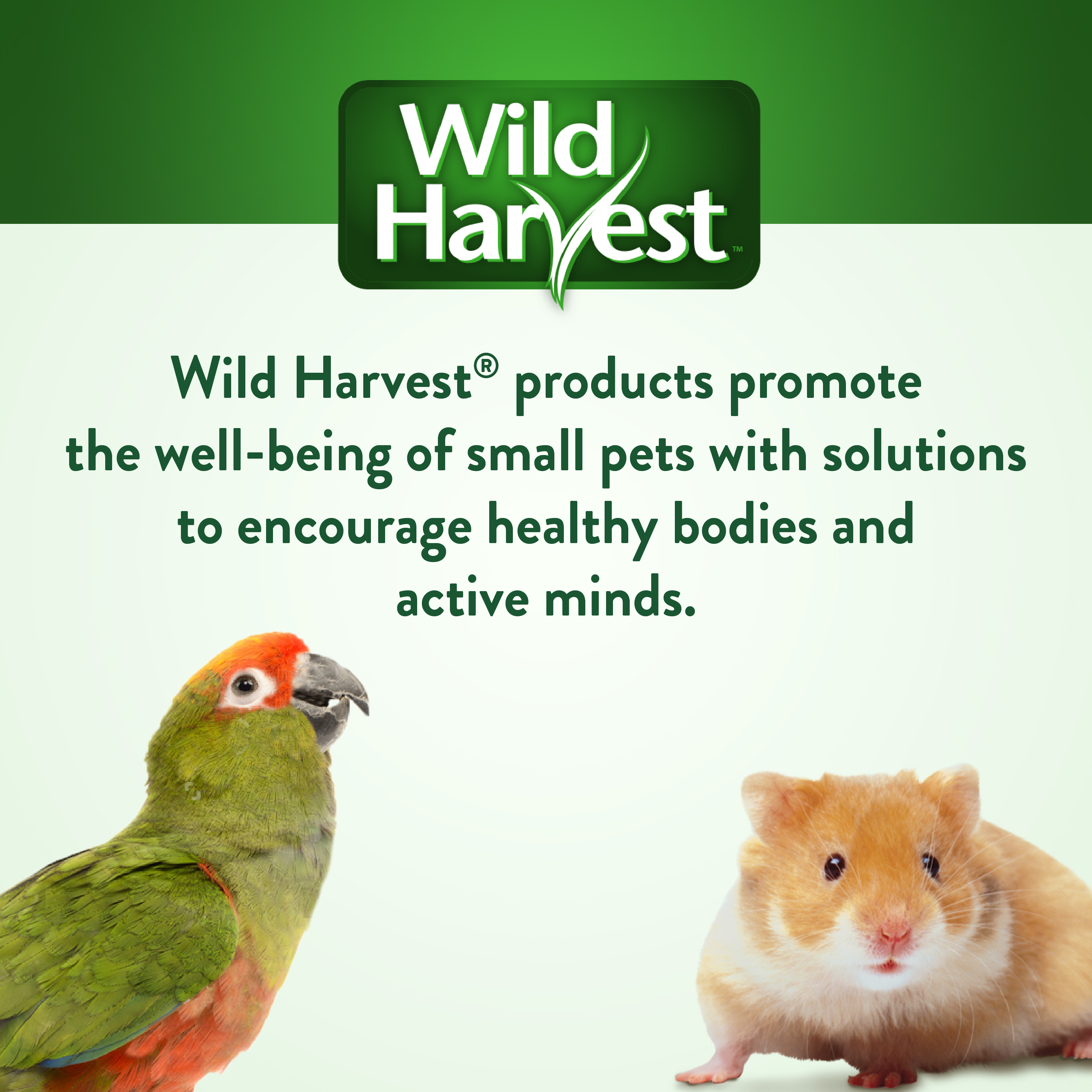 Wild Harvest Brand Statement Image