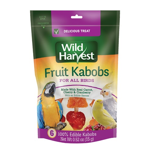 Fruit Kabobs for Birds Front