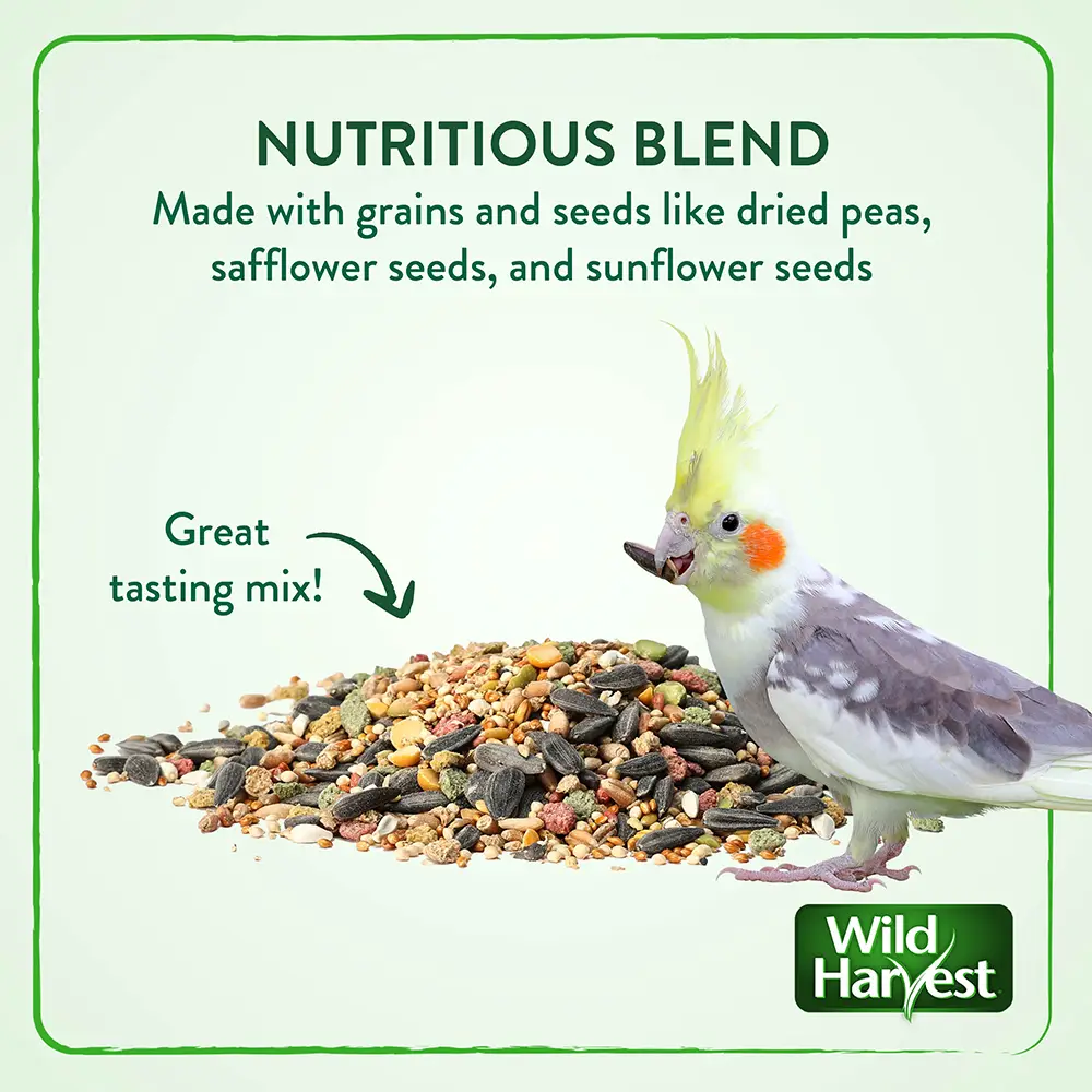 Made with grains and seeds like dried peas, safflower seeds, and sunflower seeds