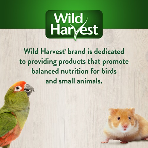 Foraging Instincts Stuffed Perch