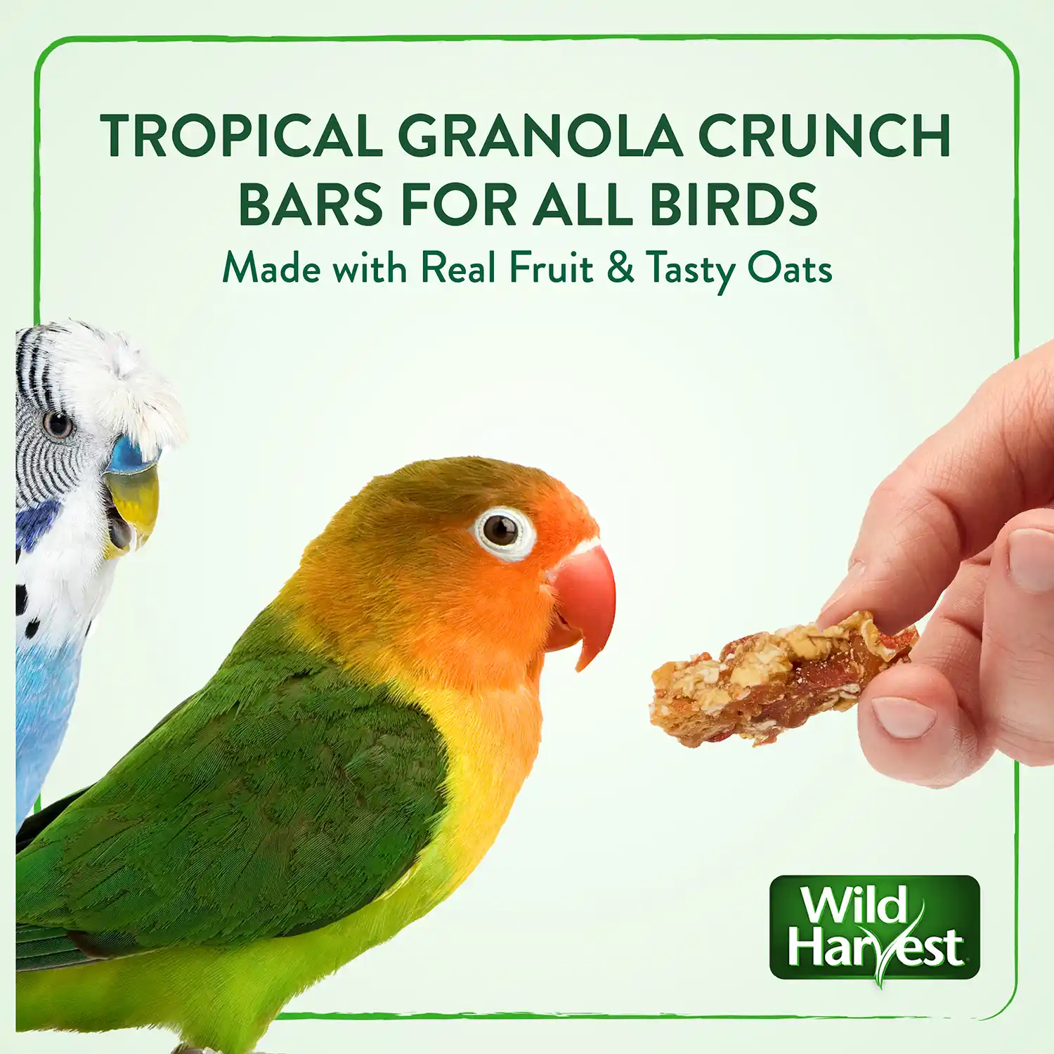 TROPICAL GRANOLA CRUNCH BARS FOR ALL BIRDS Made with Real Fruit & Tasty Oats