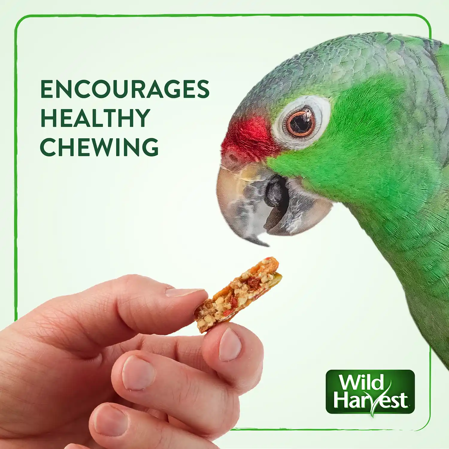 ENCOURAGES HEALTHY CHEWING
