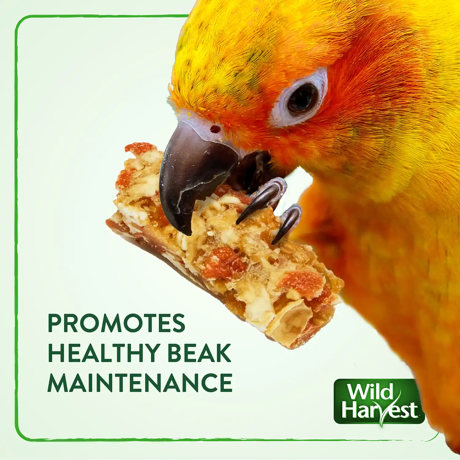 PROMOTES HEALTHY BEAK MAINTENANCE