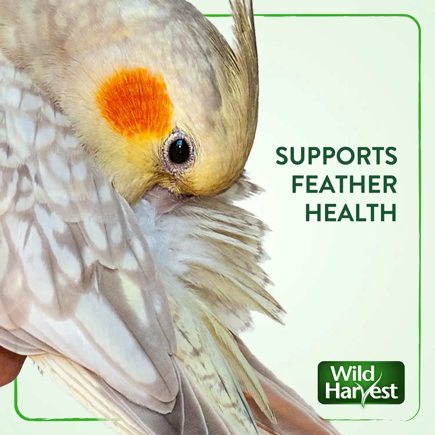 SUPPORTS FEATHER HEALTH
