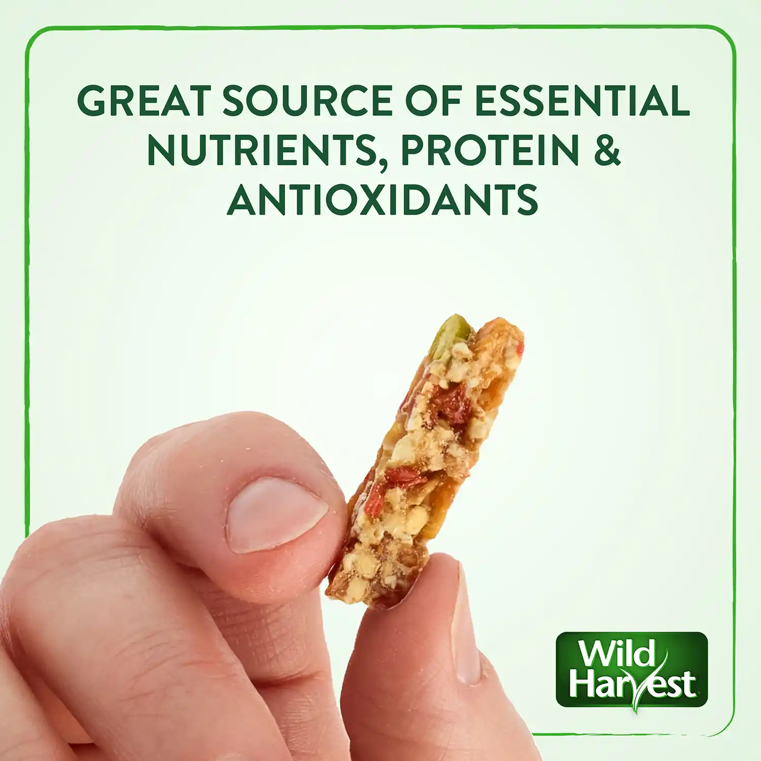 GREAT SOURCE OF ESSENTIAL NUTRIENTS, PROTEIN & ANTIOXIDANTS