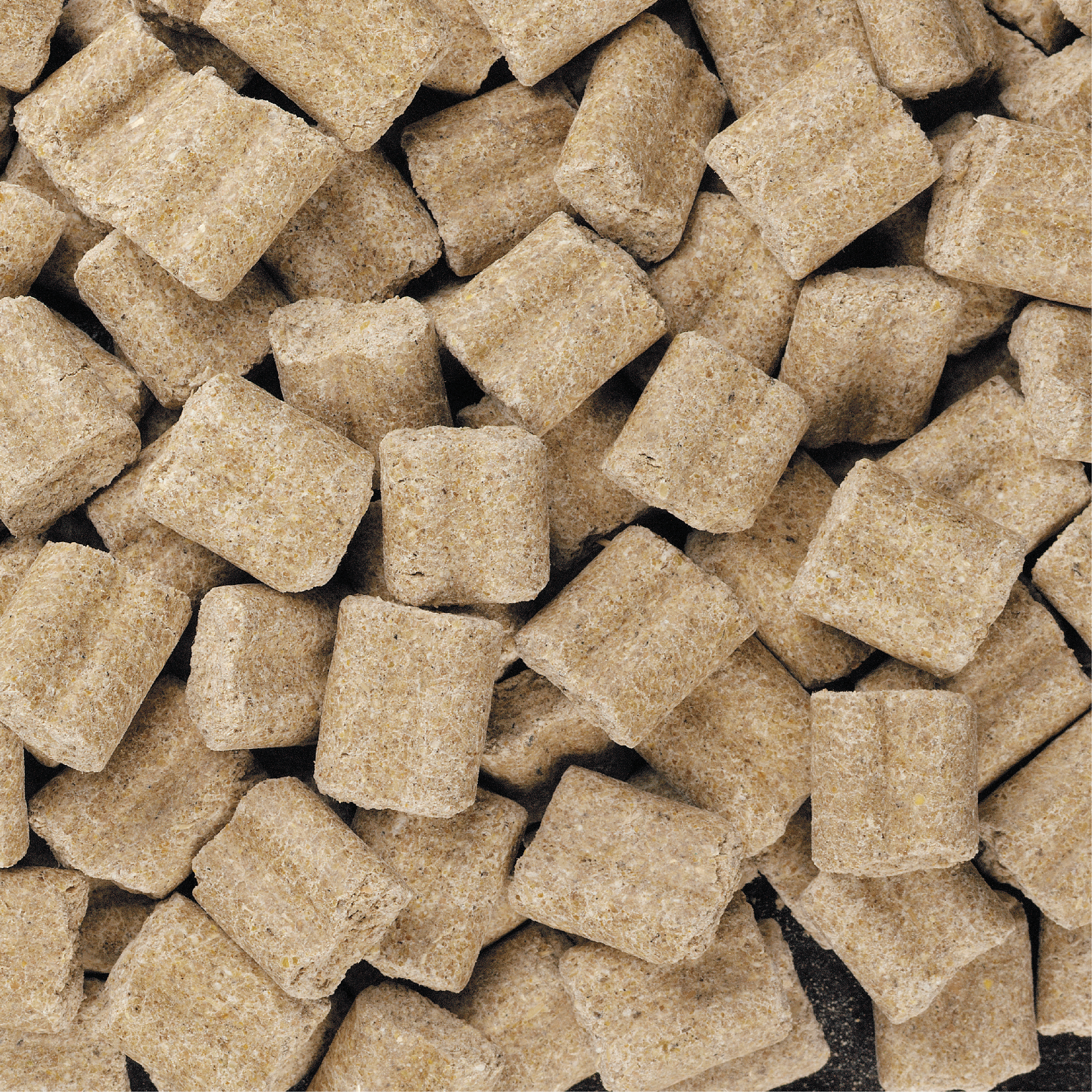 H140411_DailyBlendRatMouse_03_OOP_HiRes