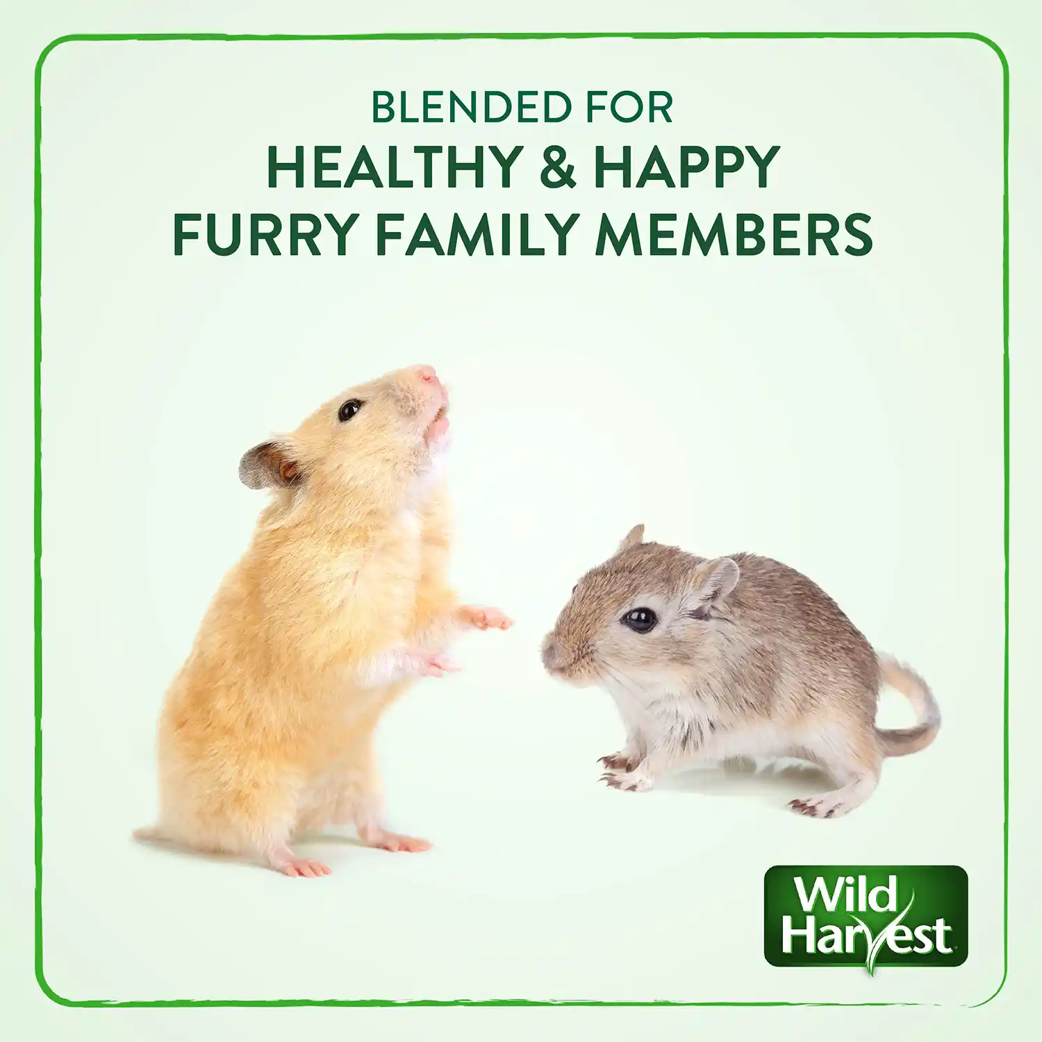 BLENDED FOR HEALTHY & HAPPY FURRY FAMILY MEMBERS