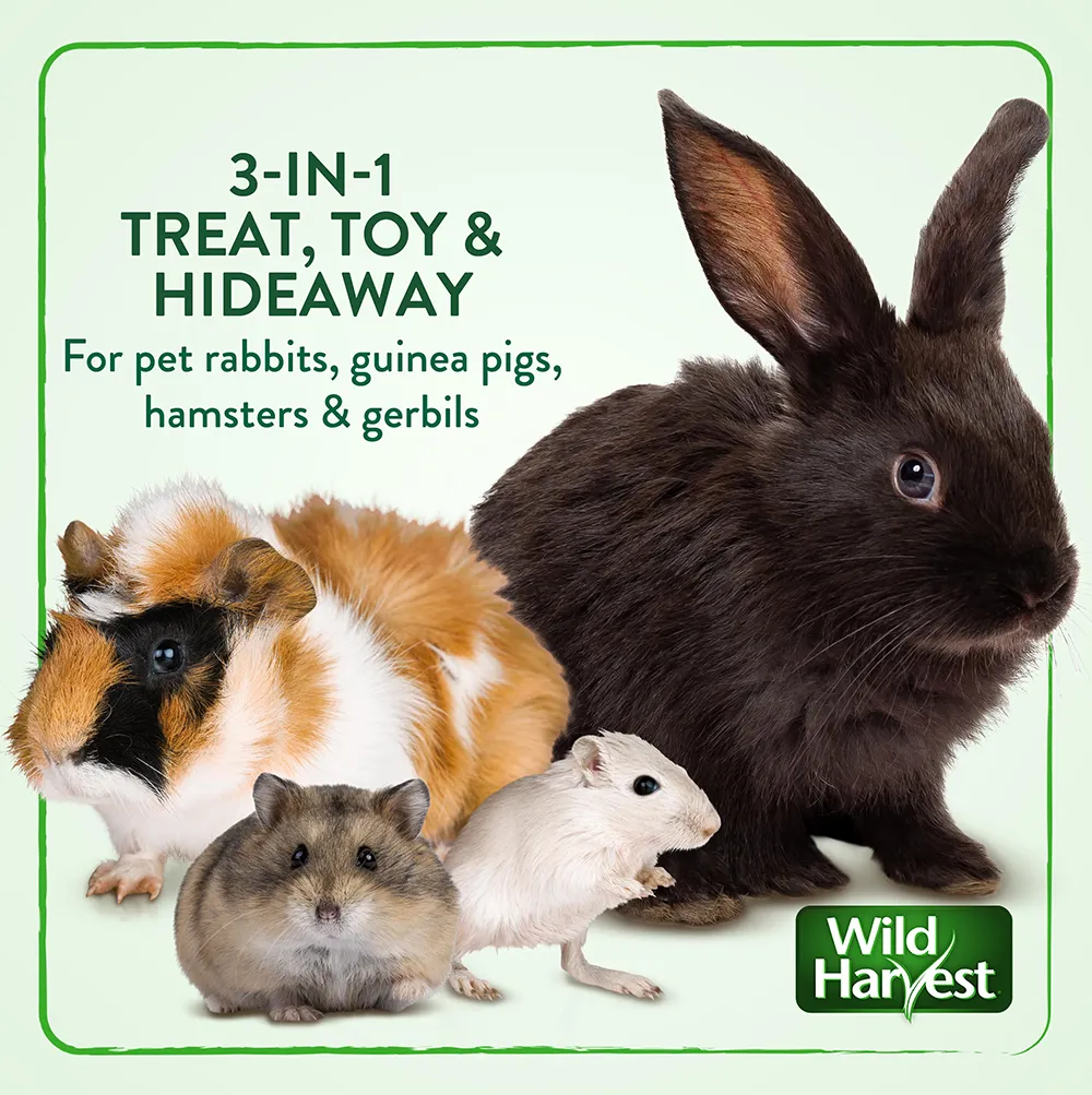 3 in 1 treat, toy and hideaway for pet rabbits, guinea pigs, hamsters and gerbils