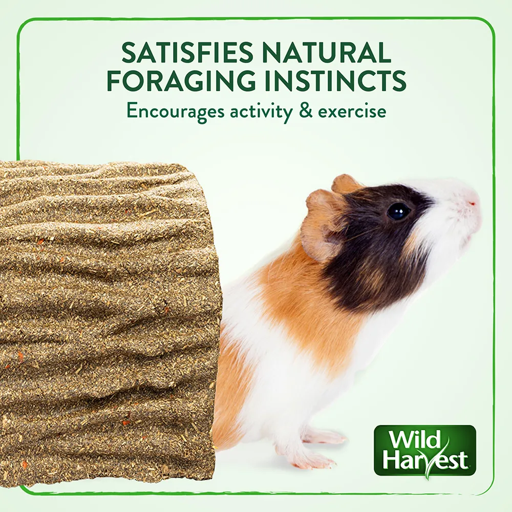 Safisfies natural foraging instincts and encourages activity and exercise.
