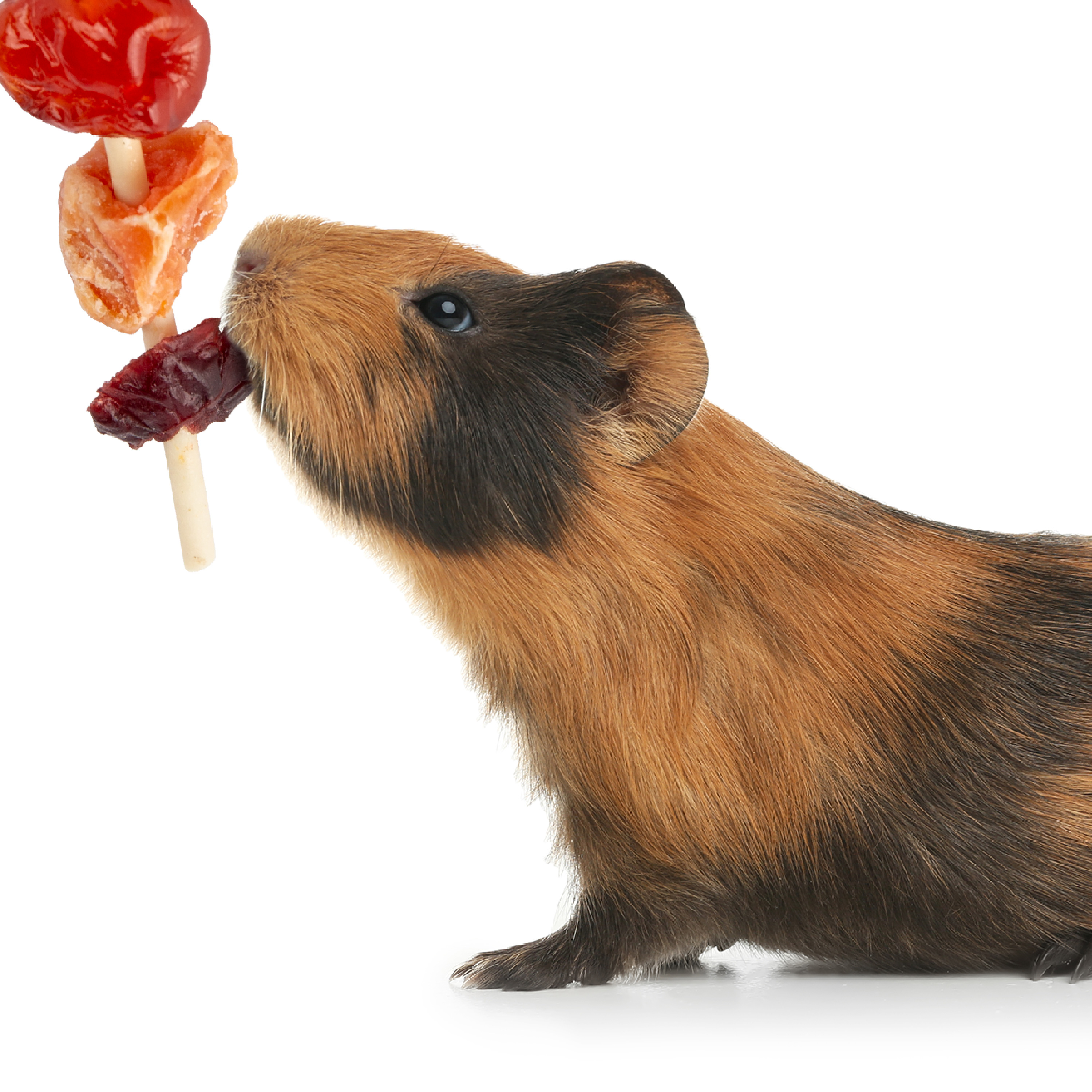 P99226_WH_GalleryImages_08_Lifestyle