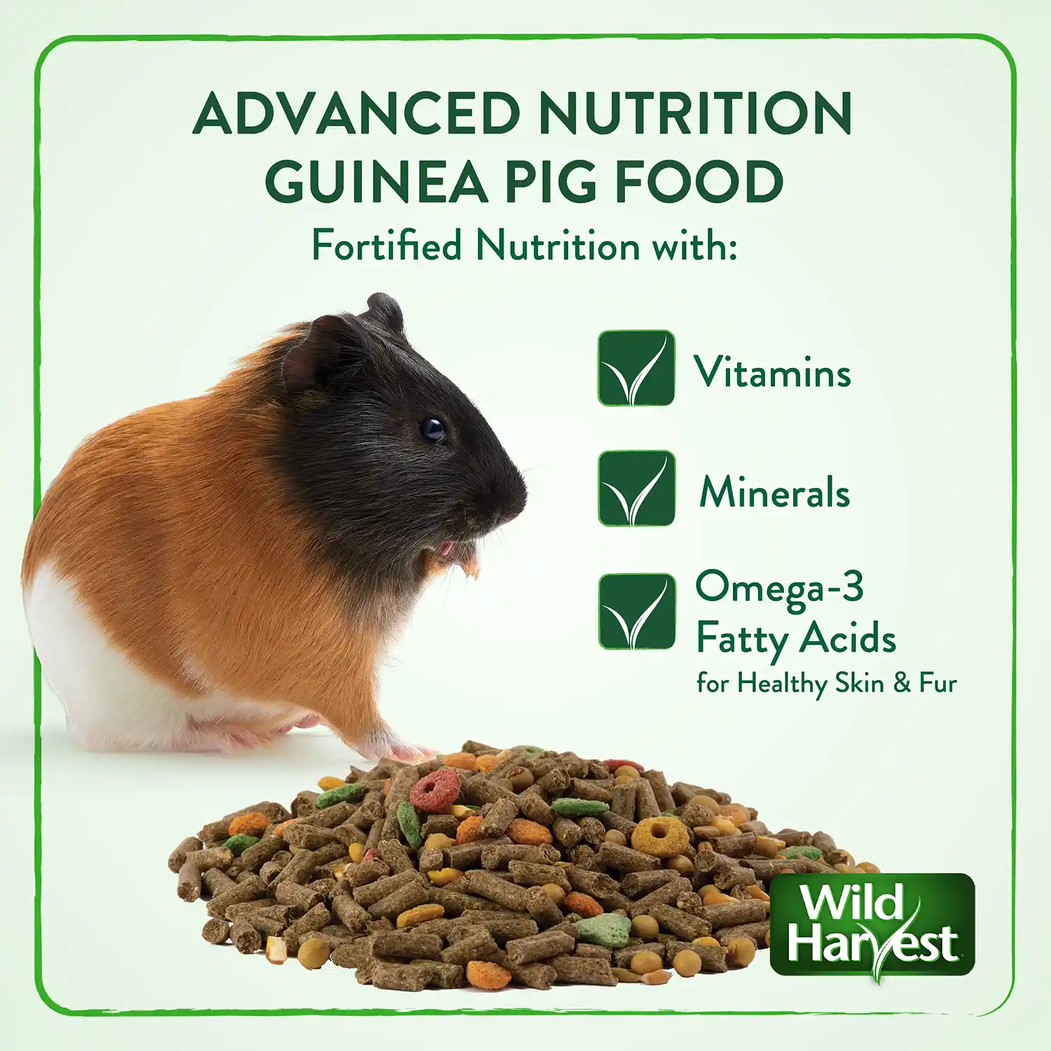 Beautiful view of Guinea Pig Vitamin D3 Supplement