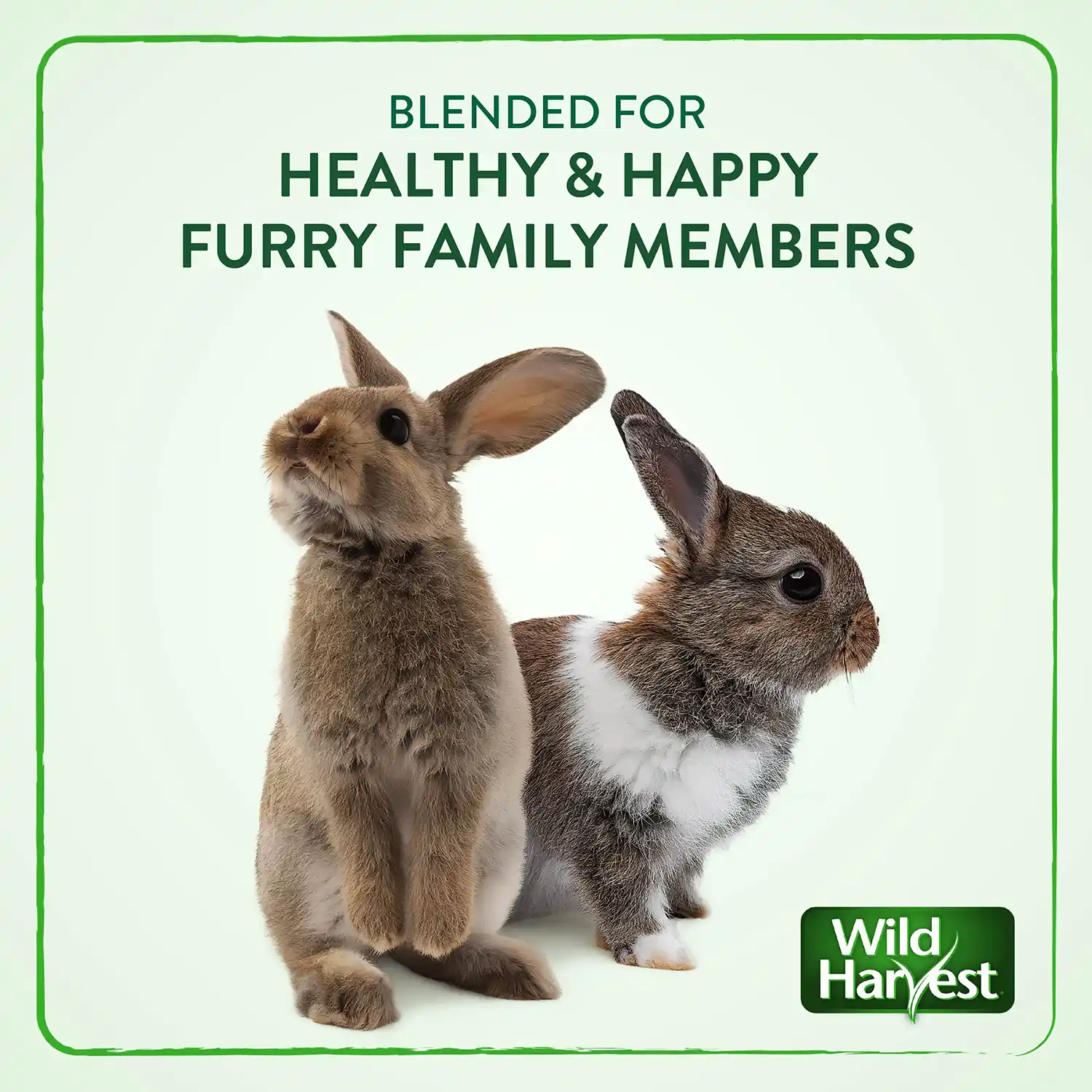 BLENDED FOR HEALTHY & HAPPY FURRY FAMILY MEMBERS