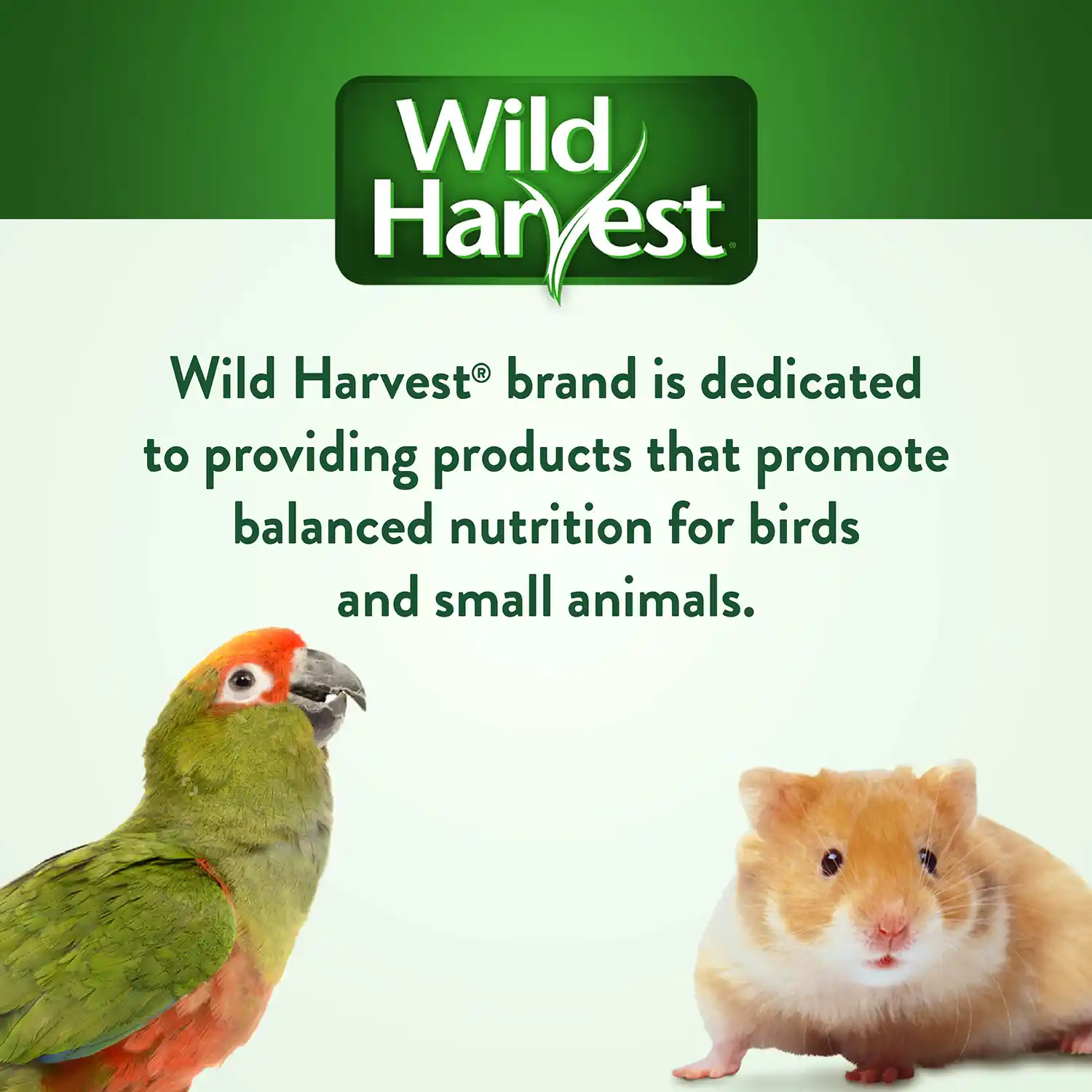 Wild Harvest® brand is dedicated to providing products that promote balanced nutrition for birds and small animals.
