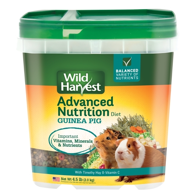 Guinea Pig Advanced Nutrition 4.5 lb